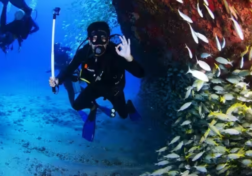 Scuba Diving 